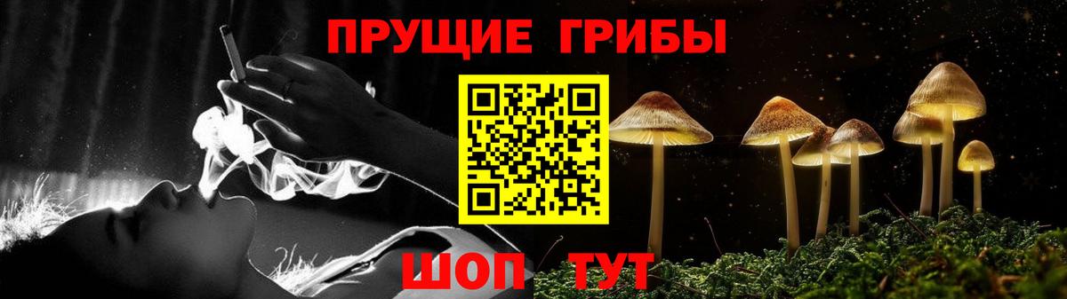 Саратов  Галлюциногенные грибы MAGIC MUSHROOMS  Псилоцибиновые грибы Magic Shrooms  купить наркотик  Вход с VPN 